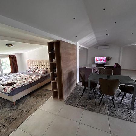 Anton Lux Apartment Kočani Zewnętrze zdjęcie